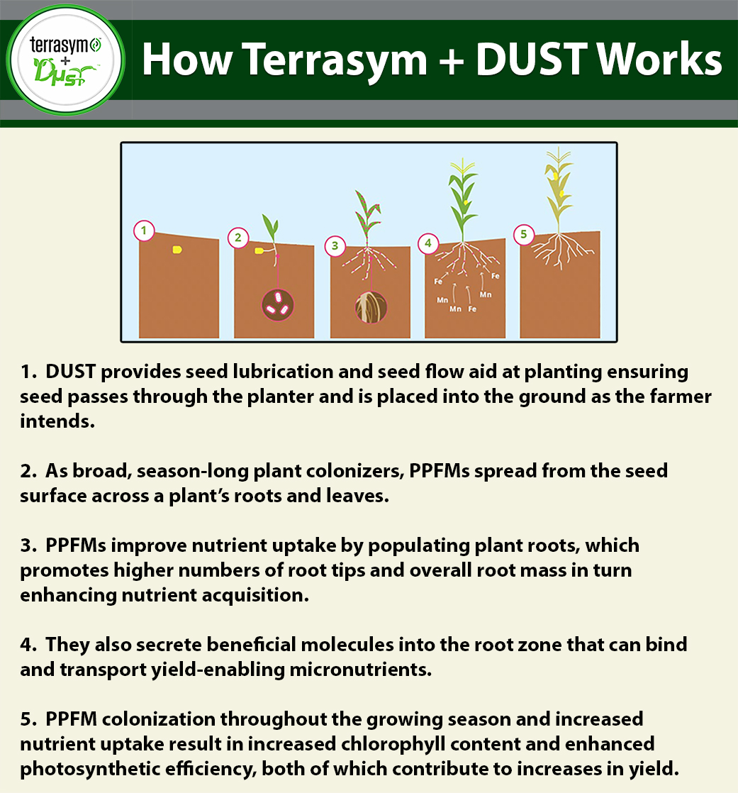 Terrasym-plus-DUST how it works